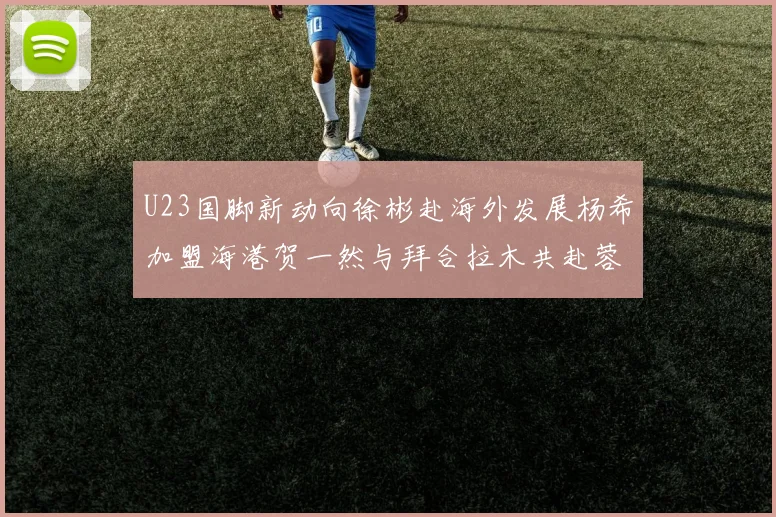U23国脚新动向徐彬赴海外发展杨希加盟海港贺一然与拜合拉木共赴蓉城