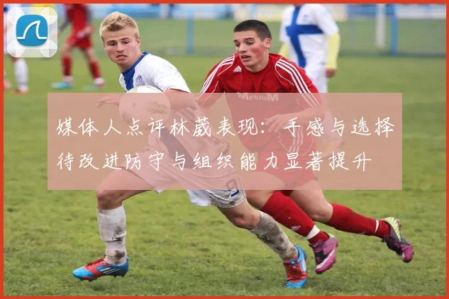 媒体人点评林葳表现：手感与选择待改进防守与组织能力显著提升