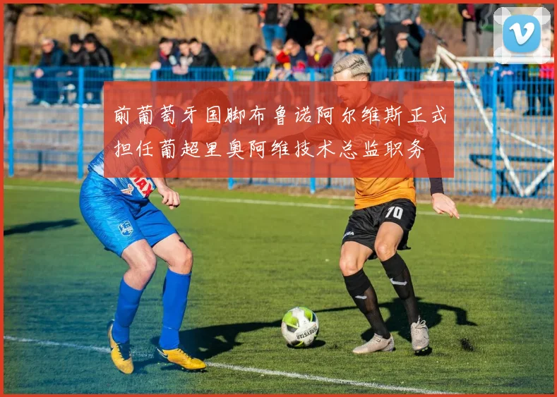 前葡萄牙国脚布鲁诺阿尔维斯正式担任葡超里奥阿维技术总监职务