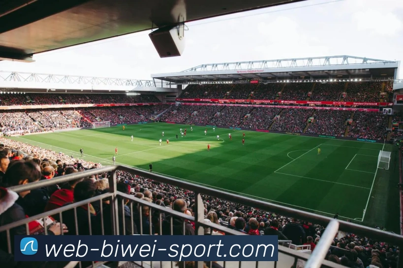 必威体育APP 高清赛事图